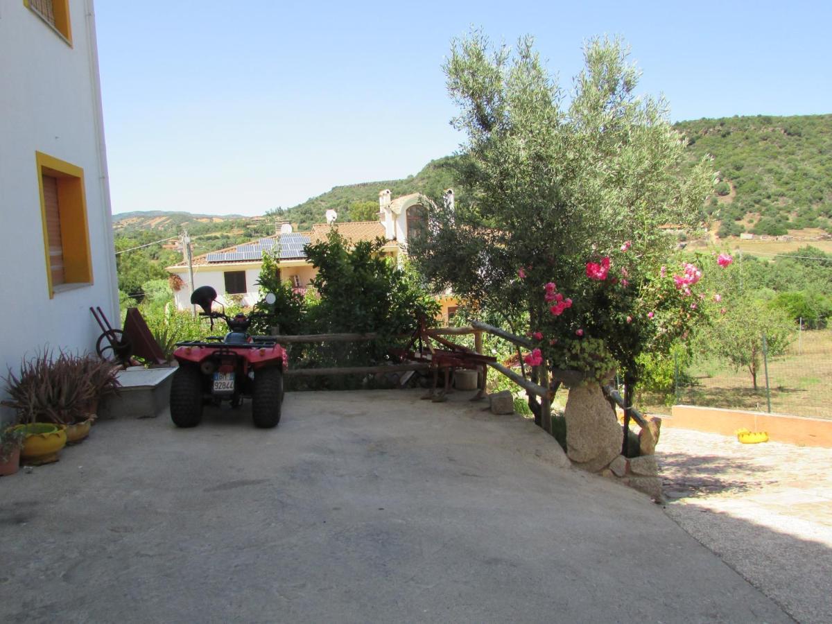 דירות בארי סארדו Estate In Ogliastra Sa Figumoru 5 Minuti Al Mare מראה חיצוני תמונה